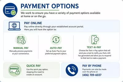 Infographic Payment Options